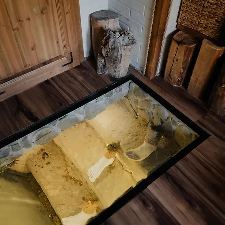 Casa vacanze Lipno S Vinným Sklepem A Mechovým Interiérem Černá v Pošumaví
