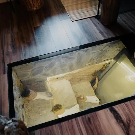 Casa vacanze Lipno S Vinným Sklepem A Mechovým Interiérem
