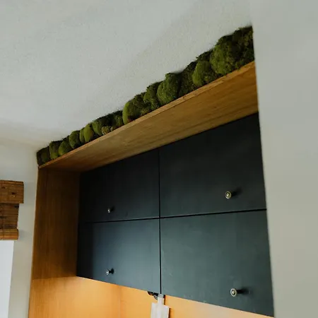 Casa vacanze Lipno S Vinným Sklepem A Mechovým Interiérem