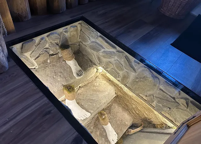 Lipno S Vinnym Sklepem A Mechovym Interierem Černá v Pošumaví